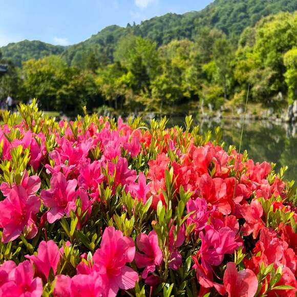 Spring break special: Budget-friendly spring destinations for March